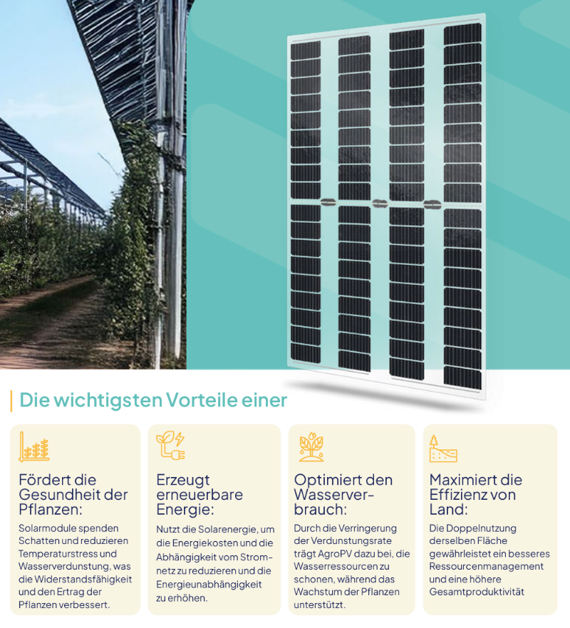 290W_B.72_Solar_Panel_SOLID_AGRO_B.72_Photovoltaik-Modul_f_r_Ertrag_Schutz_Mikroklima_E