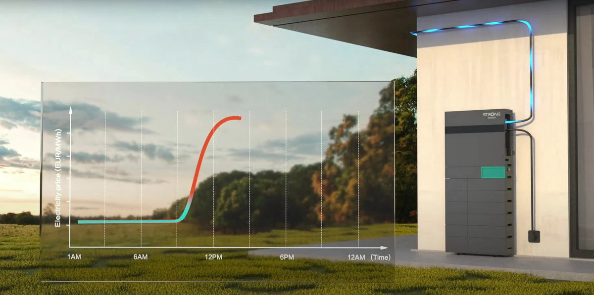 10kW/14,4kWh  Alfred 10 STRONG ENERGY all-in-one Energiespeichersystem 10 kW Wechselrichter + 14,4kWh Batterie + Switchbox + Solar Manager